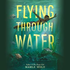 Flying Through Water Audiobook, by Mamle Wolo
