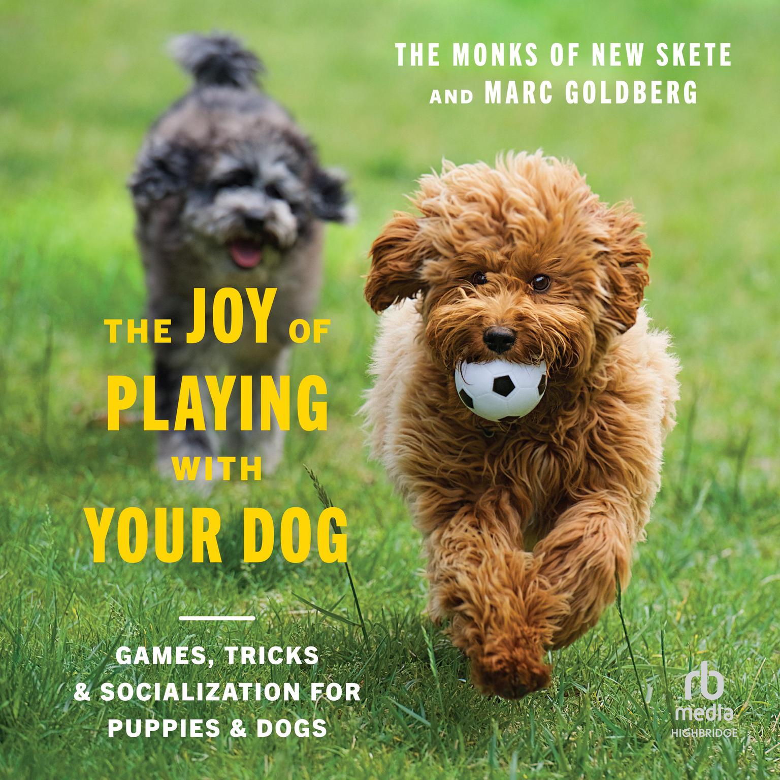 The Joy of Playing with Your Dog: Games, Tricks, & Socialization for Puppies & Dogs Audiobook, by Marc Goldberg