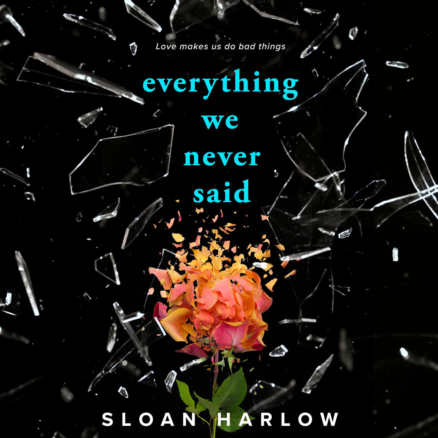 Everything We Never Said Audiobook, by Sloan Harlow