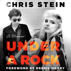 Under a Rock: A Memoir Audiobook, by Chris Stein