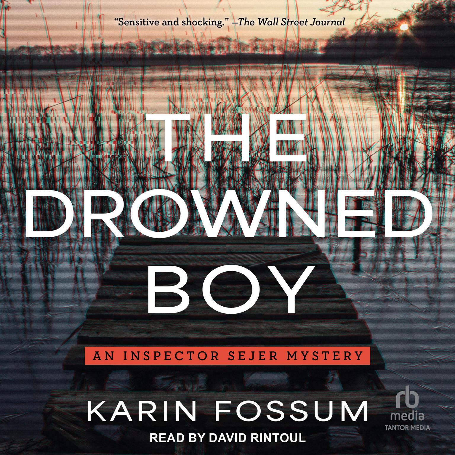 The Drowned Boy Audiobook, by Karin Fossum