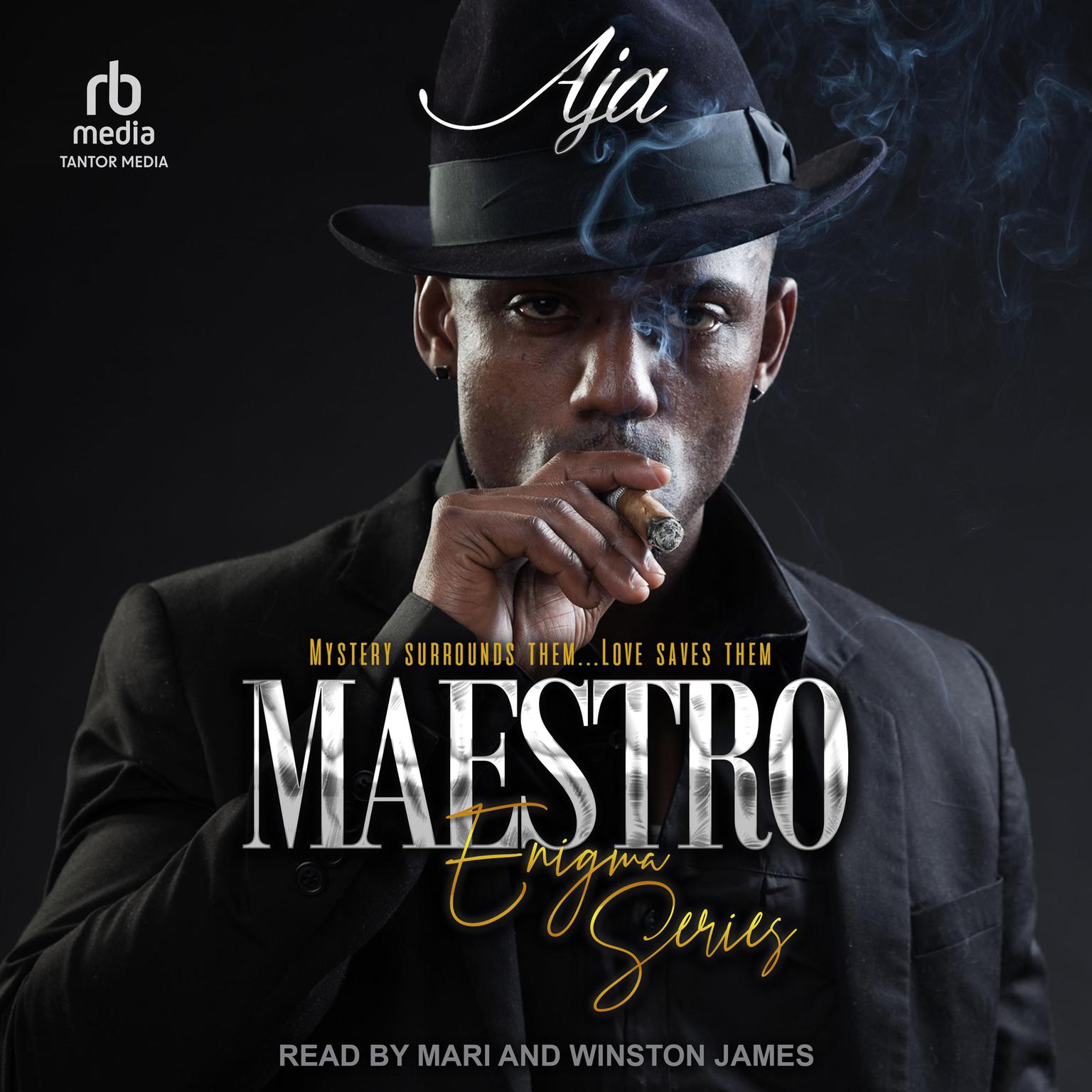 Maestro Audiobook, by Aja 