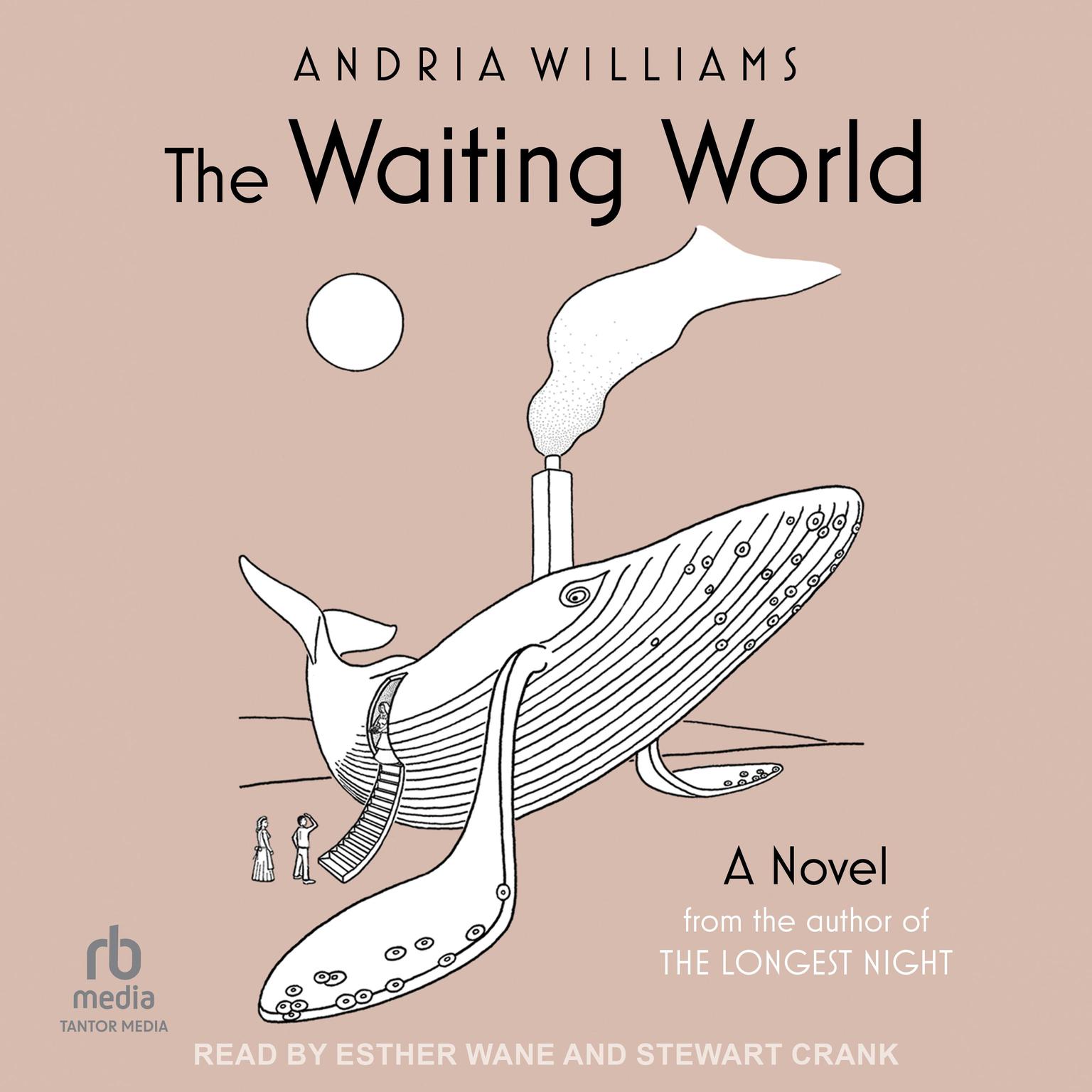 The Waiting World Audiobook, by Andria Williams