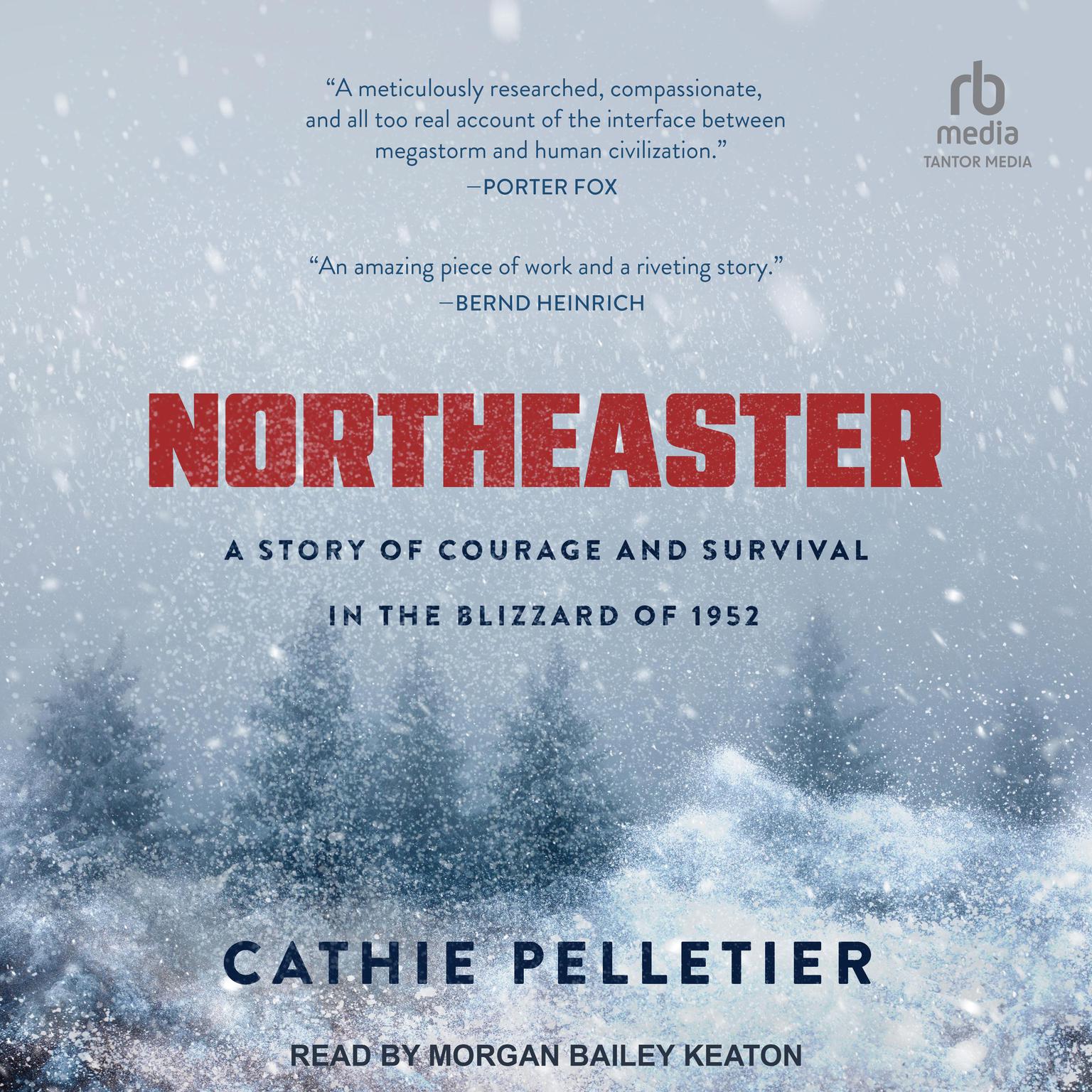 Northeaster: A Story of Courage and Survival in the Blizzard of 1952 Audiobook, by Cathie Pelletier