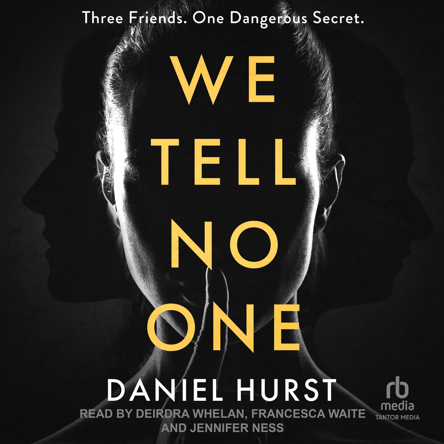 We Tell No One Audiobook, by Daniel Hurst
