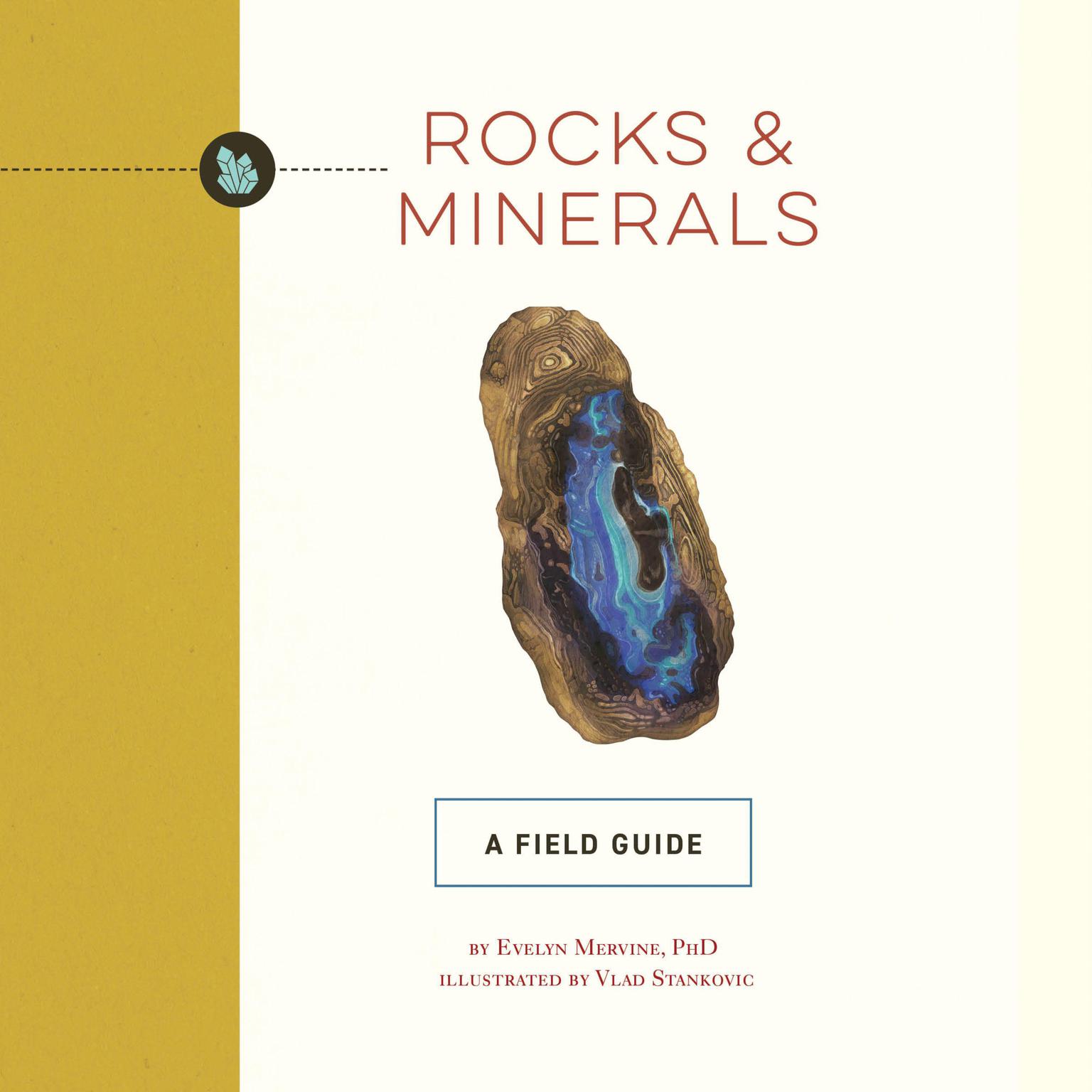 Rocks & Minerals: A Field Guide Audiobook, by Evelyn Mervine