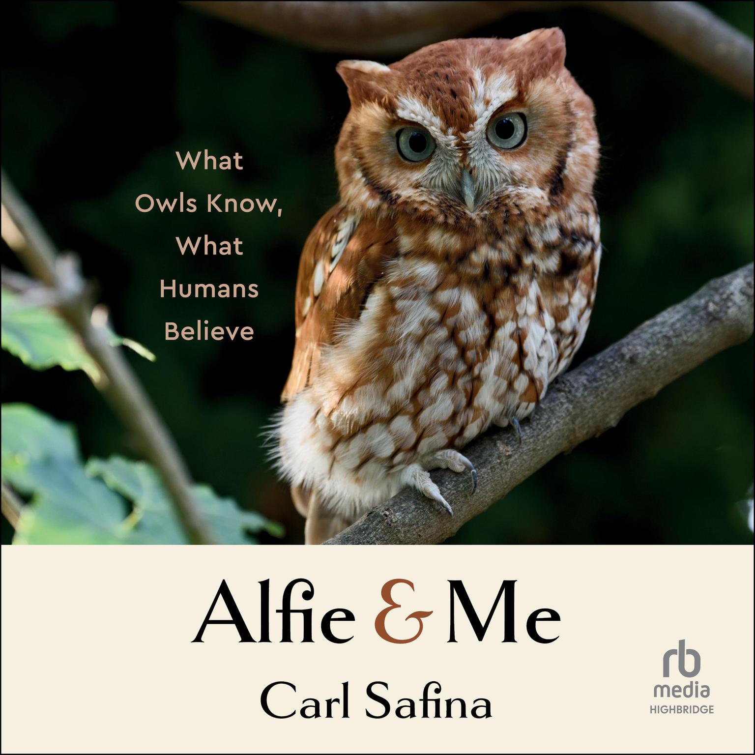 Alfie and Me: What Owls Know, What Humans Believe Audiobook, by Carl Safina