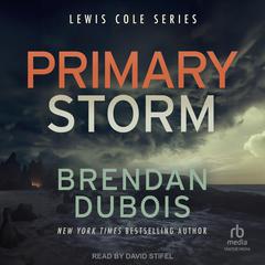 Primary Storm Audiobook, by Brendan DuBois