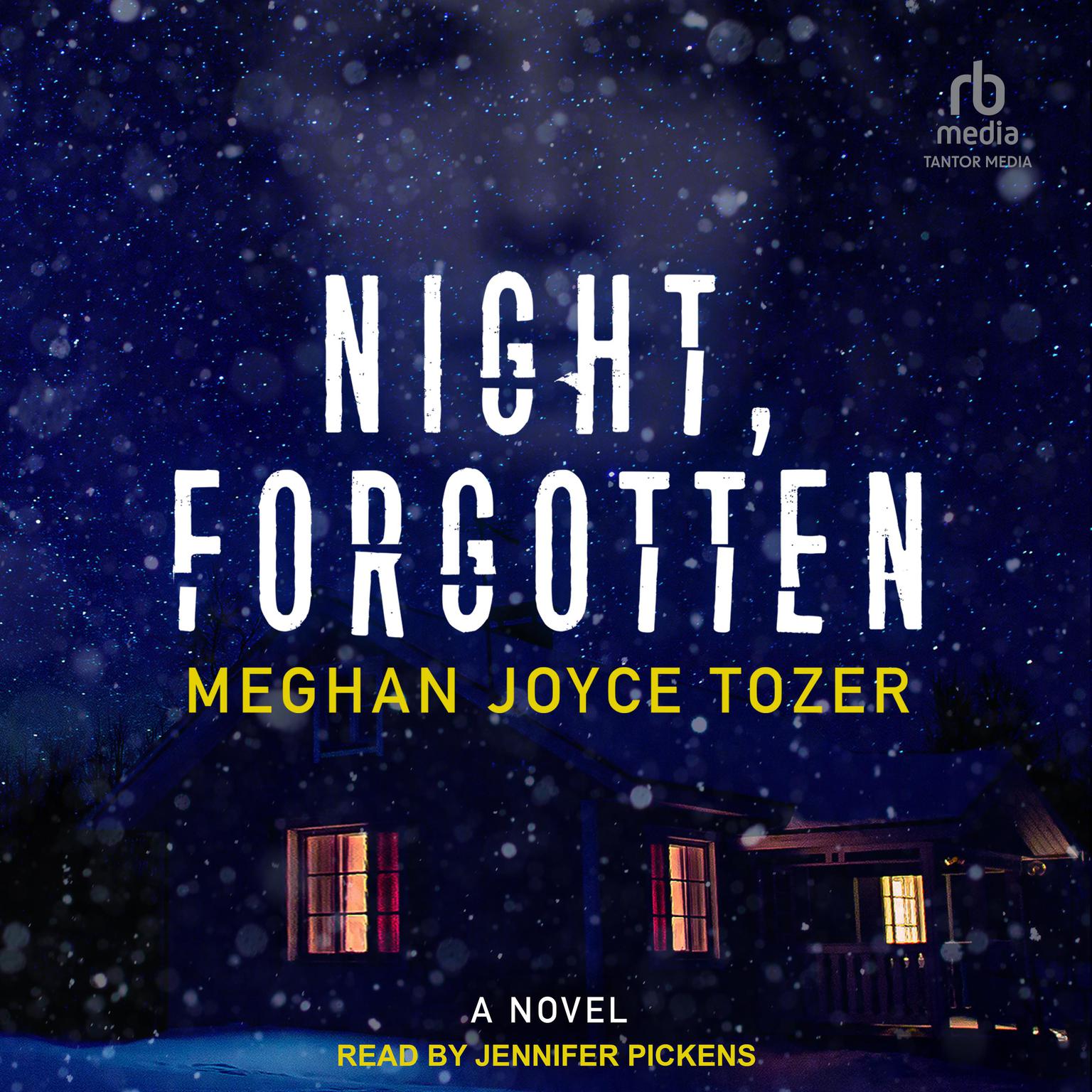 Night, Forgotten Audiobook, by Meghan Joyce Tozer