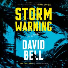 Storm Warning Audiobook, by David Bell