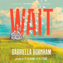 Wait: A Novel Audiobook, by Gabriella Burnham