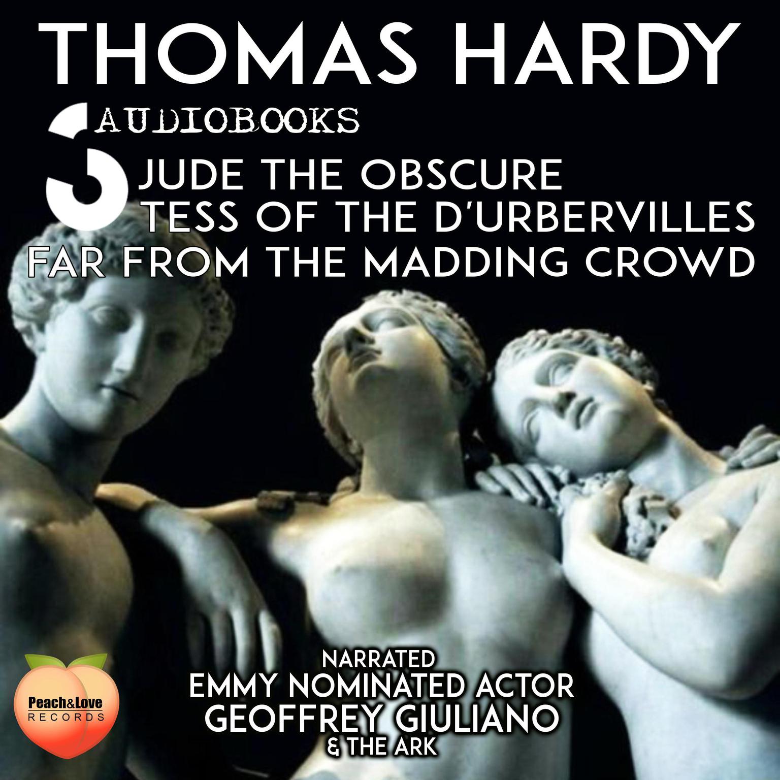 Thomas Hardy Bundle Audiobook, by Thomas Hardy