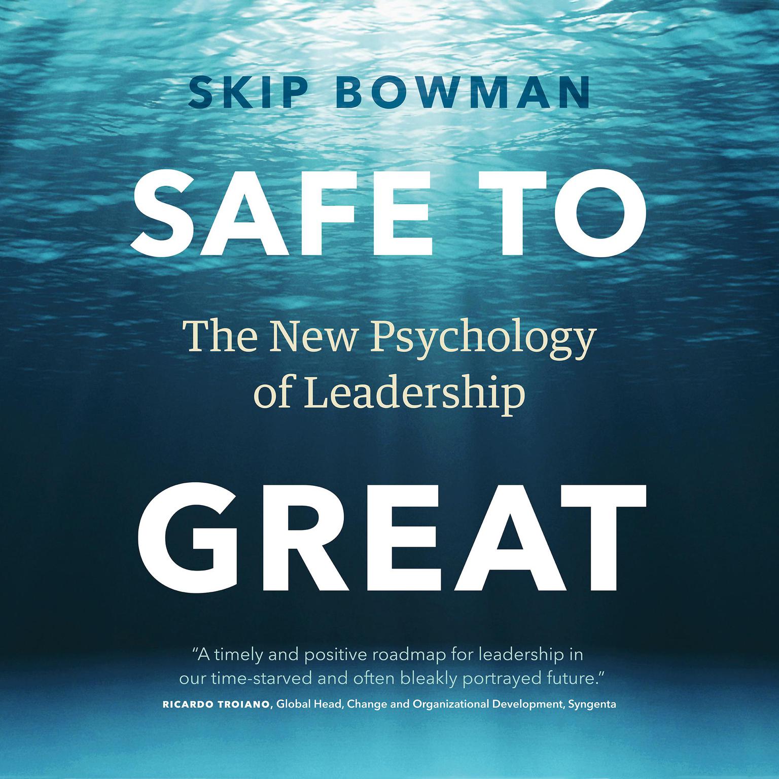Safe to Great Audiobook, by Skip Bowman