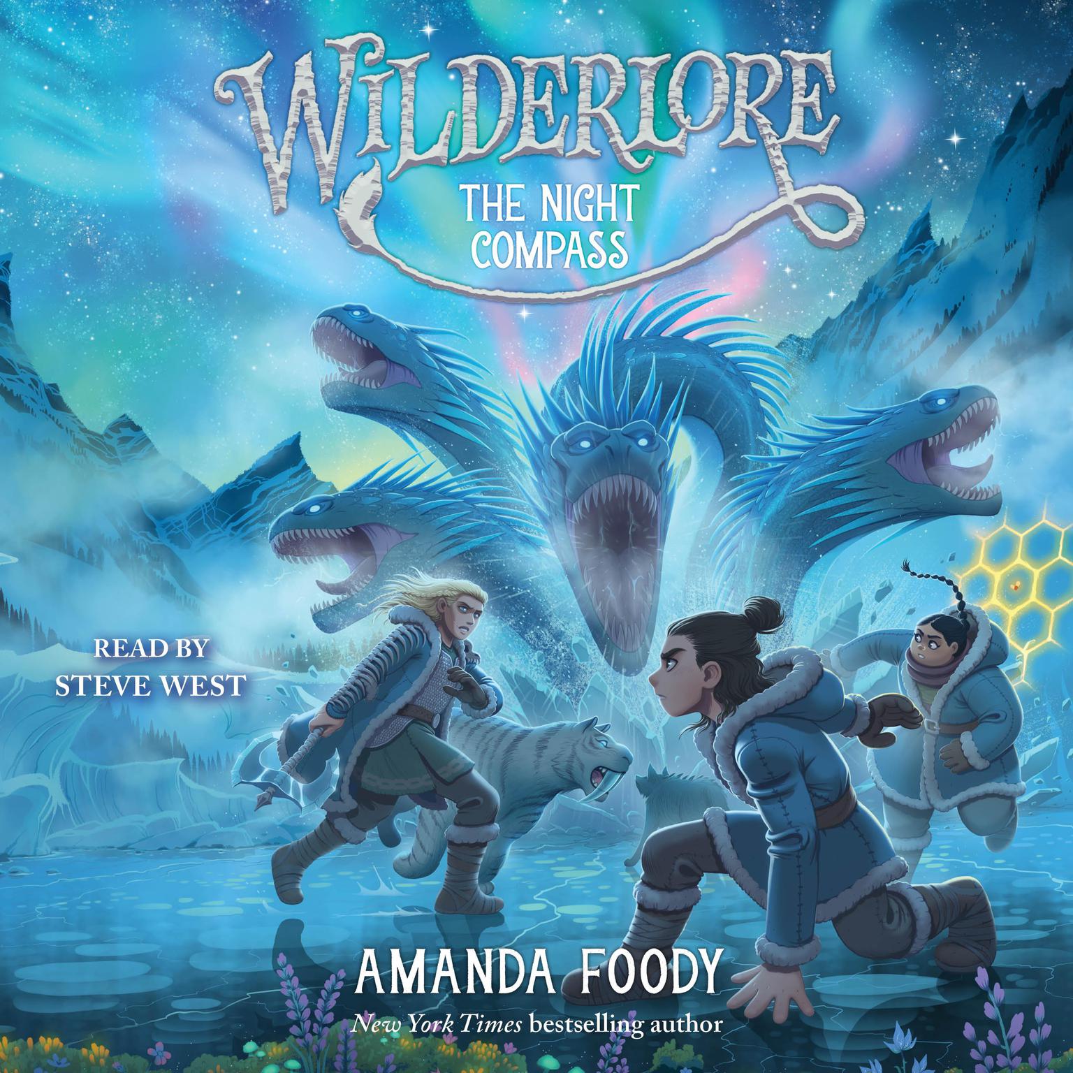 The Night Compass Audiobook, by Amanda Foody