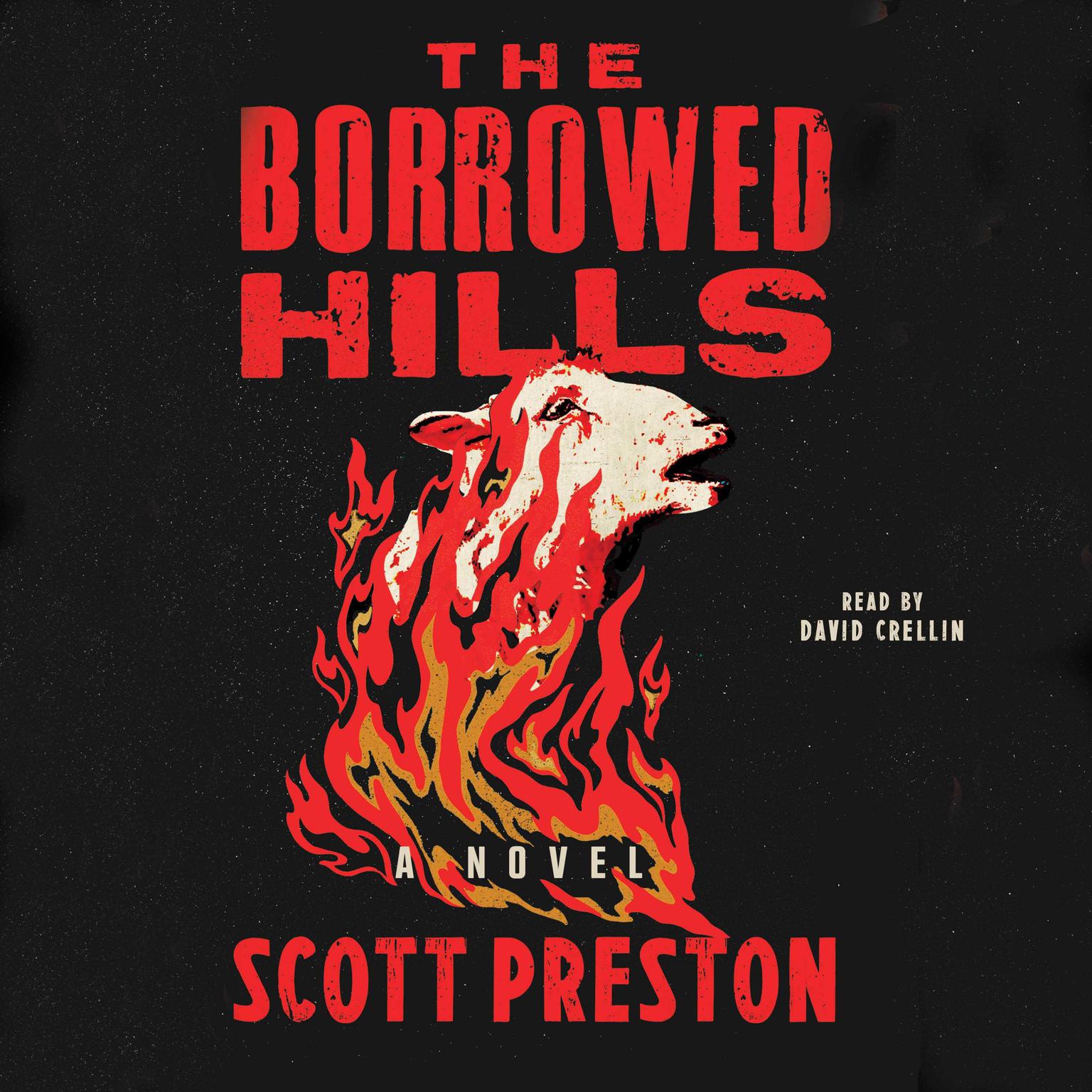 The Borrowed Hills: A Novel Audiobook, by Scott Preston