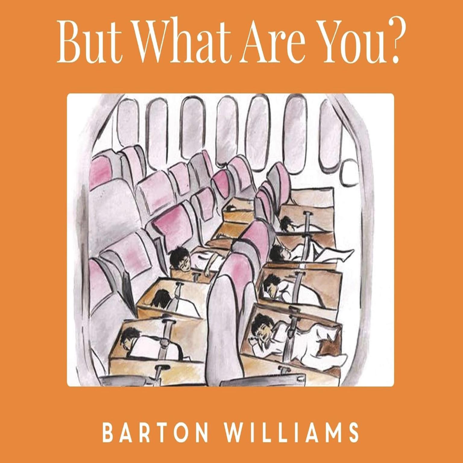 But What Are You? Audiobook, by Barton Williams