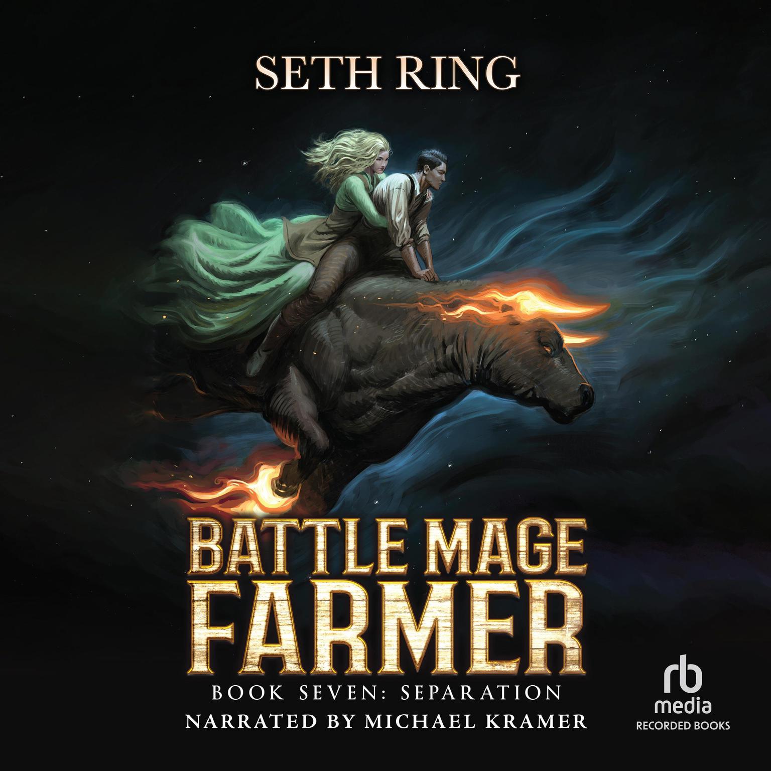 Separation: A Fantasy LitRPG Adventure Audiobook, by Seth Ring