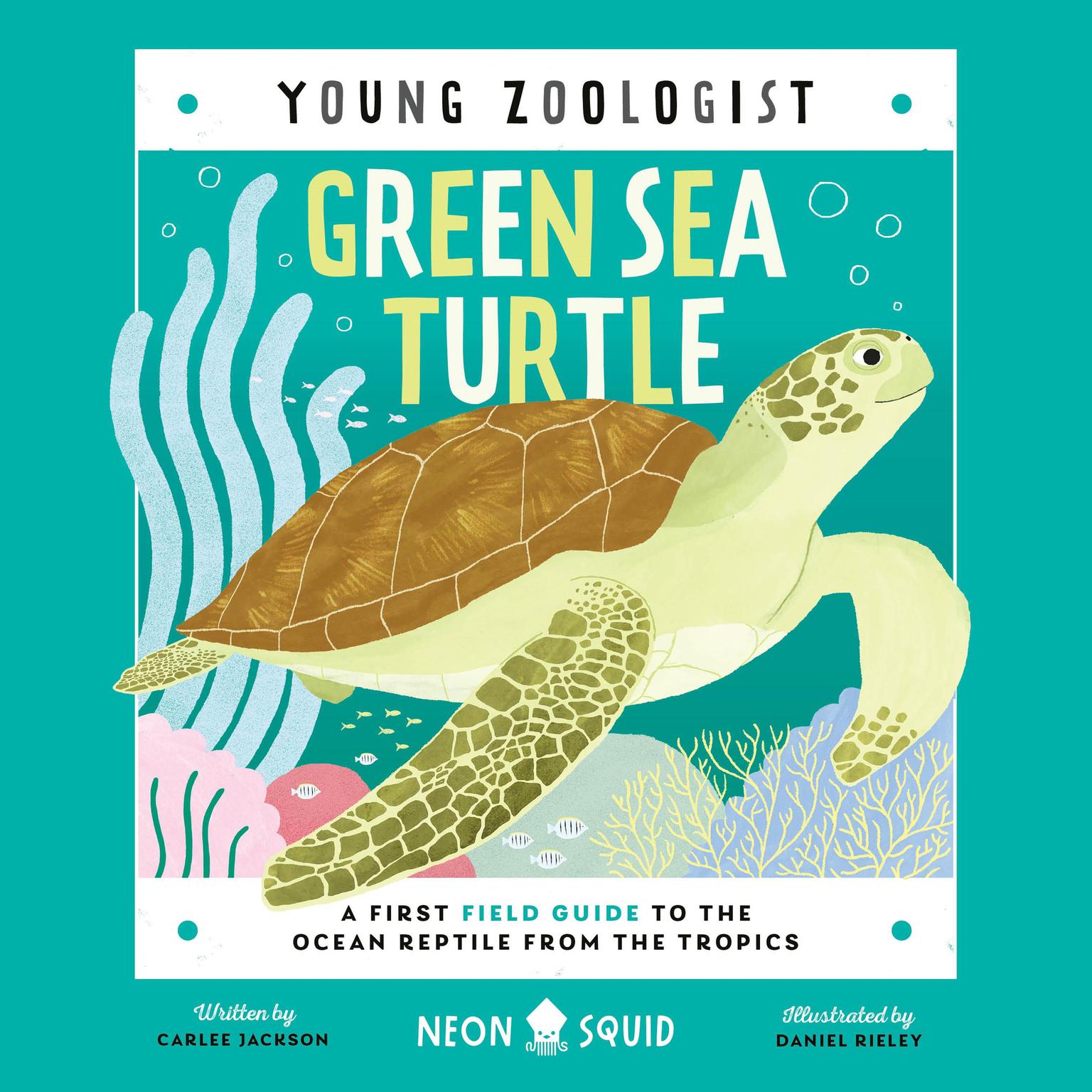 Green Sea Turtle (Young Zoologist): A First Field Guide to the Ocean Reptile from the Tropics Audiobook, by Carlee Jackson