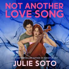Not Another Love Song Audiobook, by Julie Soto