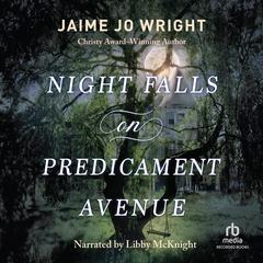 Night Falls on Predicament Avenue Audiobook, by Jaime Jo Wright