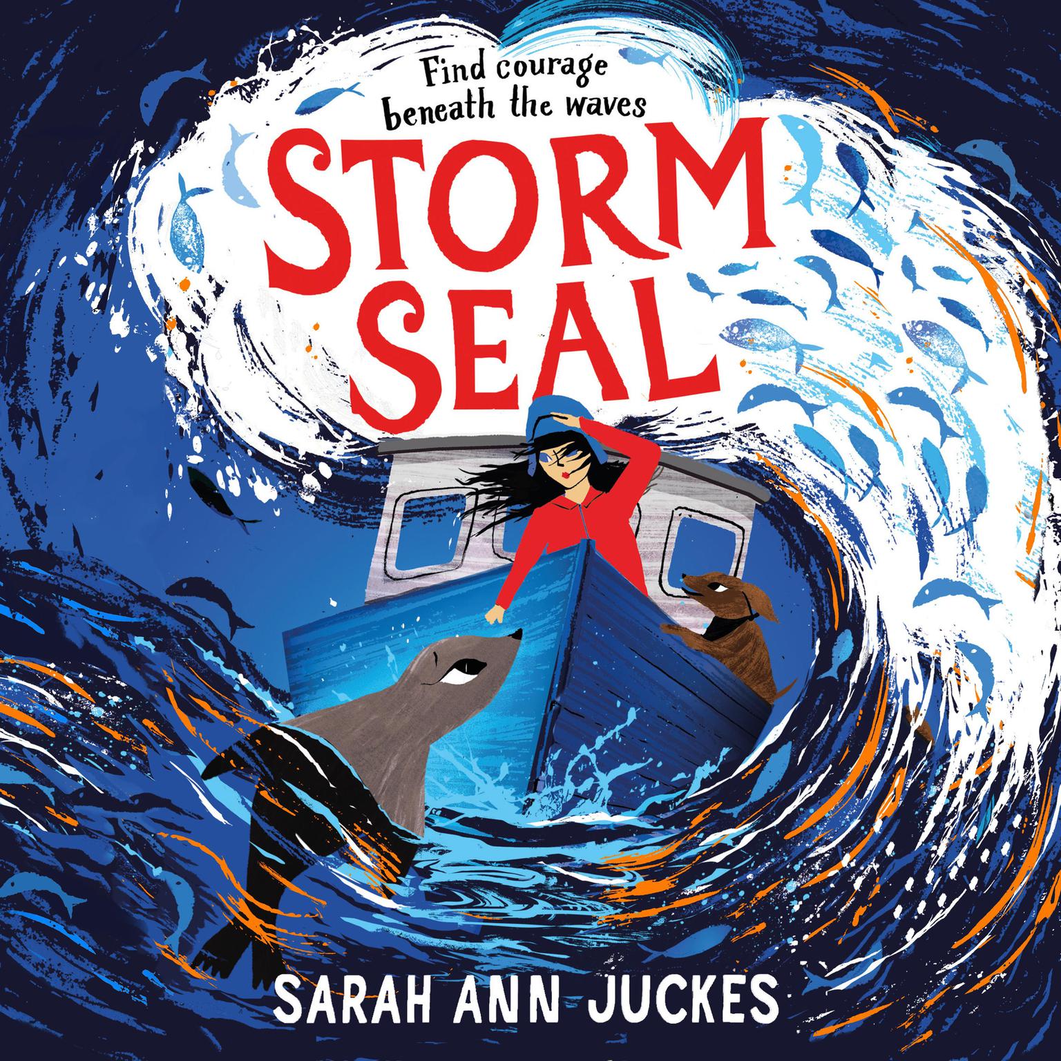 Storm Seal: A seaside story of family and hope Audiobook, by Sarah Ann Juckes