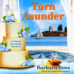 Torn Asunder Audiobook, by Barbara Ross