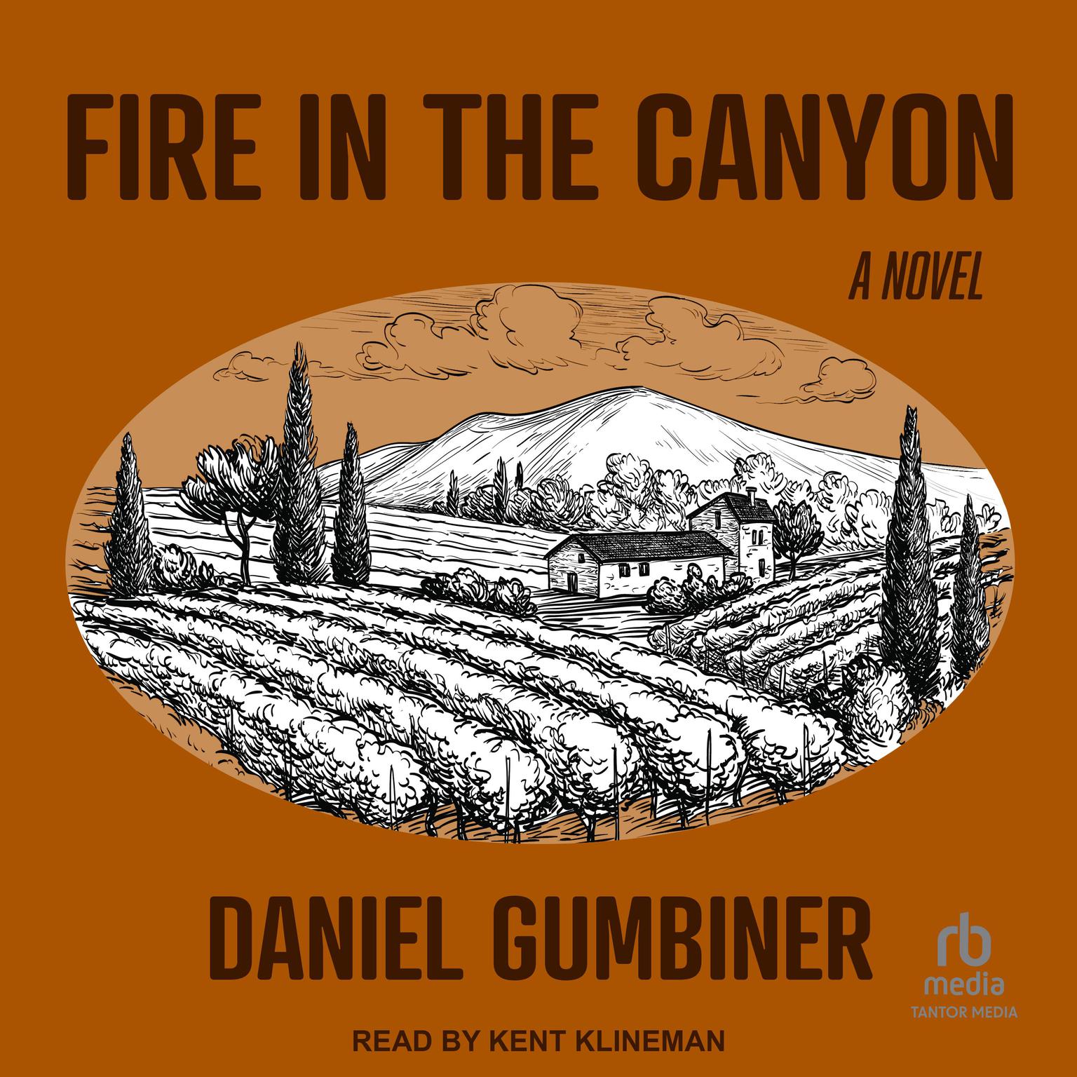 Fire in the Canyon: A Novel Audiobook, by Daniel Gumbiner