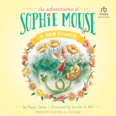 A New Friend Audiobook, by Poppy Green
