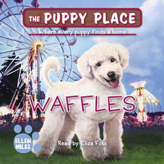 Waffles (The Puppy Place #68) Audiobook, by Ellen Miles