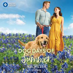Dog Days of Summer Audiobook, by Teri Wilson