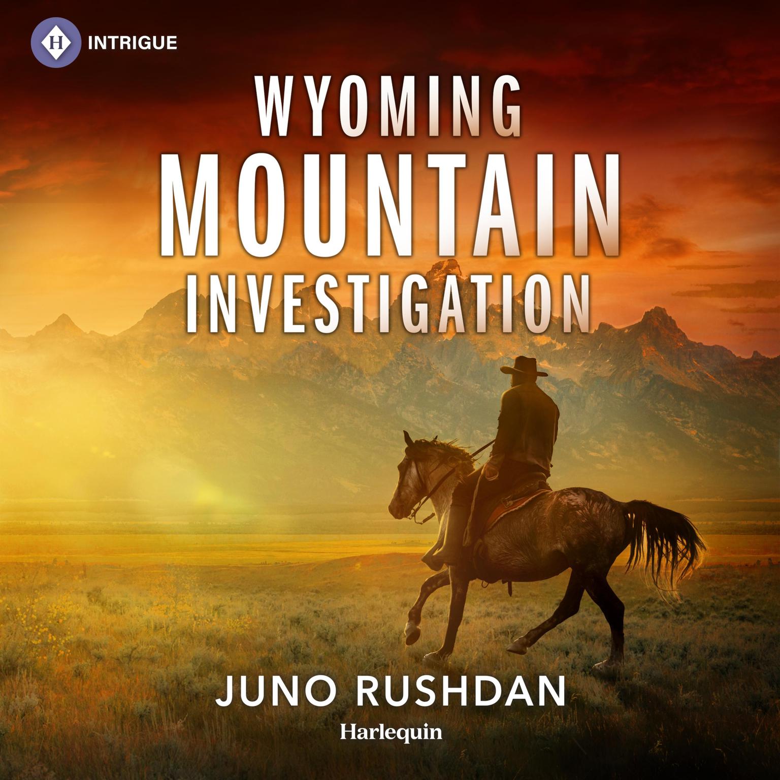 Wyoming Mountain Investigation Audiobook, by Juno Rushdan