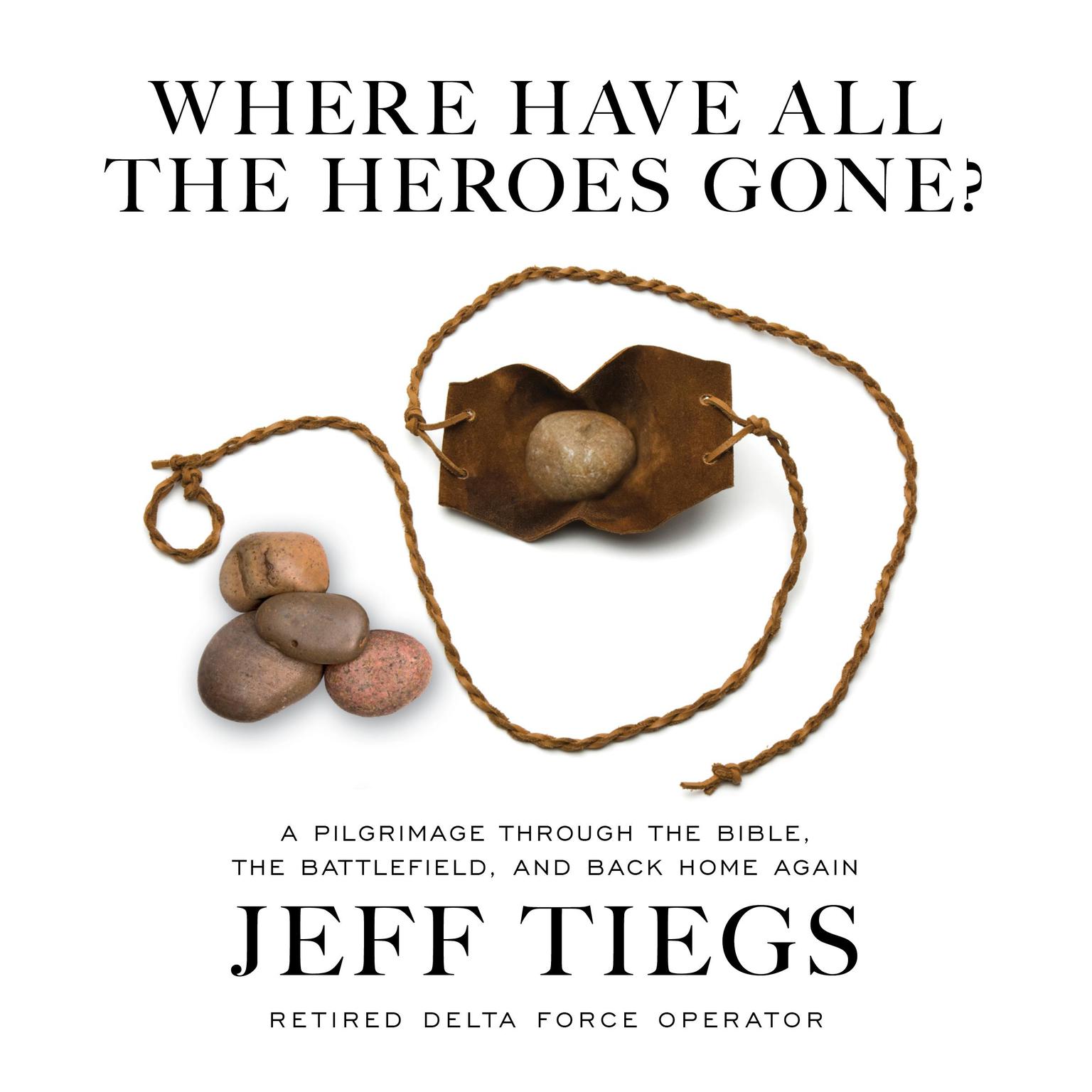 Where Have All the Heroes Gone? Audiobook, by Jeff Tiegs