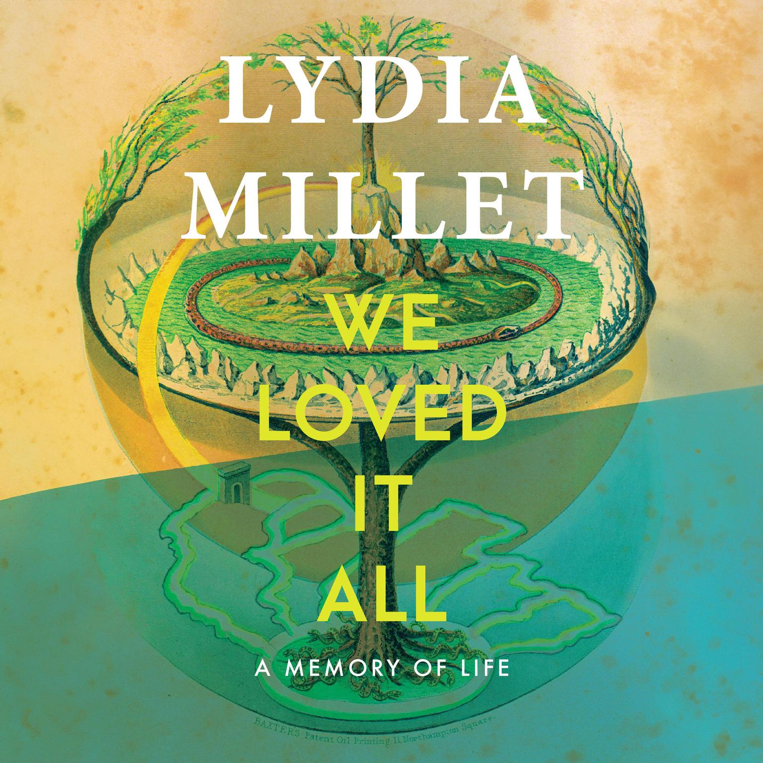 We Loved It All: A Memory of Life Audiobook, by Lydia Millet