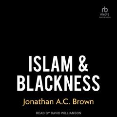 Islam & Blackness Audiobook, by Jonathan A. C. Brown