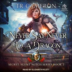 Never Say Never to a Dragon Audiobook, by TR Cameron