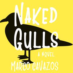 Naked Gulls Audiobook, by Marco Cavazos