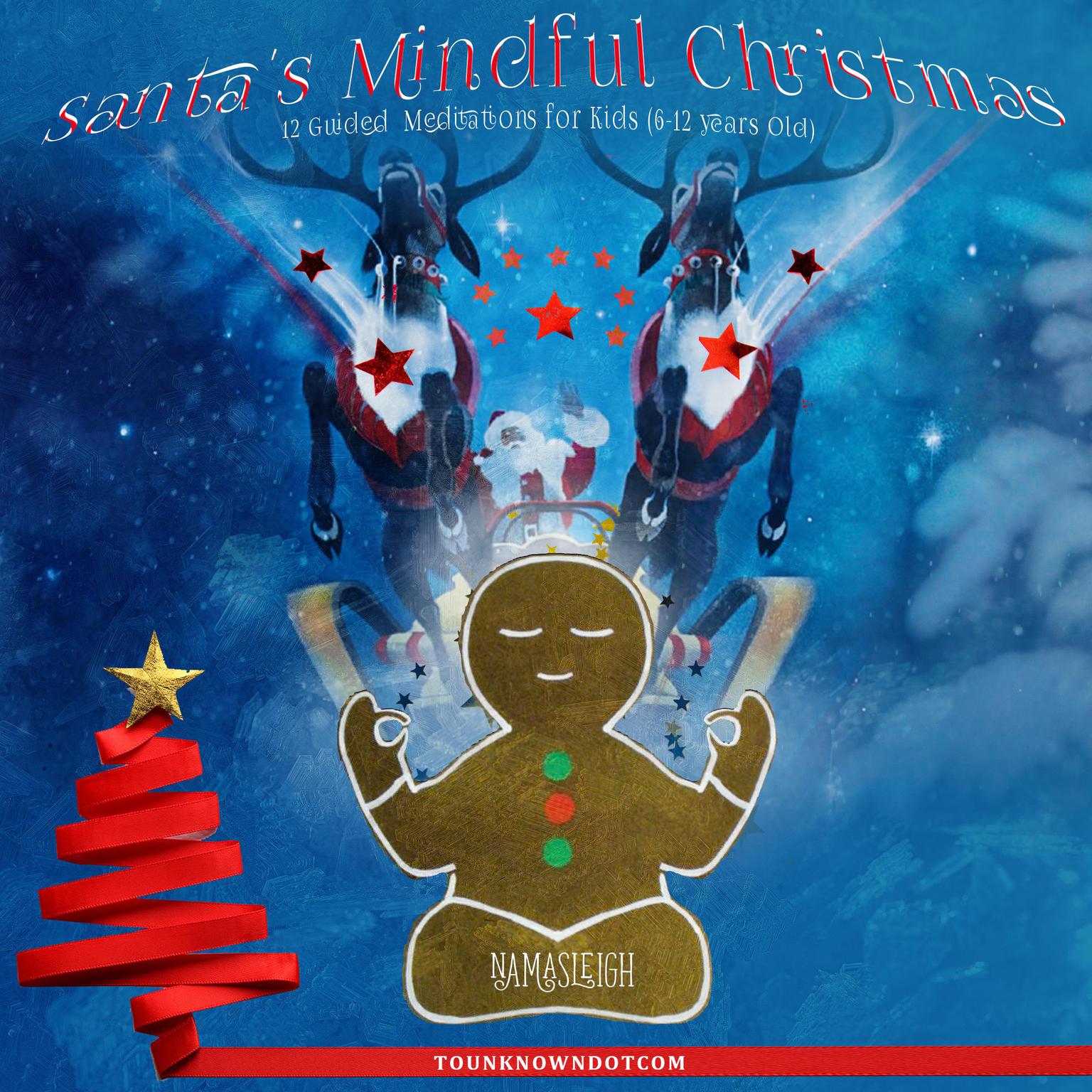 Santas Mindful Christmas: 12 Guided Meditations for Kids (6-12 Years Old) Audiobook, by tounknowndotcom 
