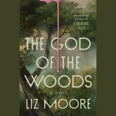 The God of the Woods: A Novel Audiobook, by Liz Moore