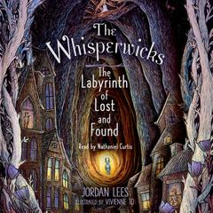 The Labyrinth of Lost and Found Audiobook, by Jordan Lees