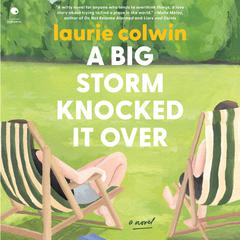 A Big Storm Knocked It Over: A Novel Audiobook, by Laurie Colwin