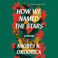 How We Named the Stars Audiobook, by Andrés N. Ordorica
