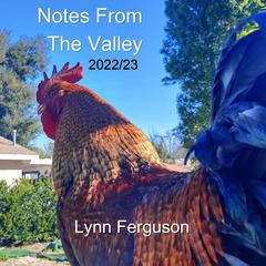 Notes From The Valley Audiobook, by Lynn Ferguson