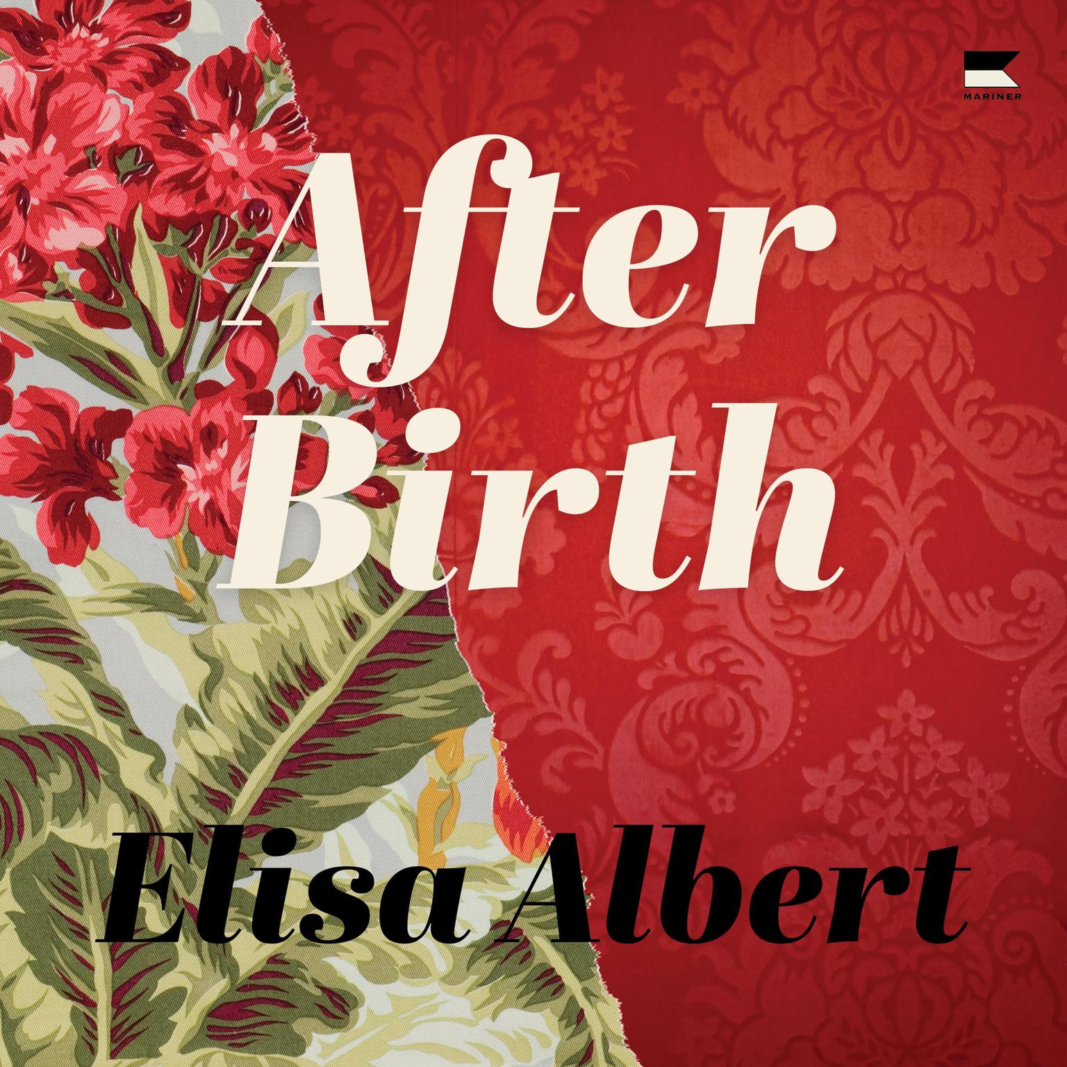 After Birth Audiobook, by Elisa Albert