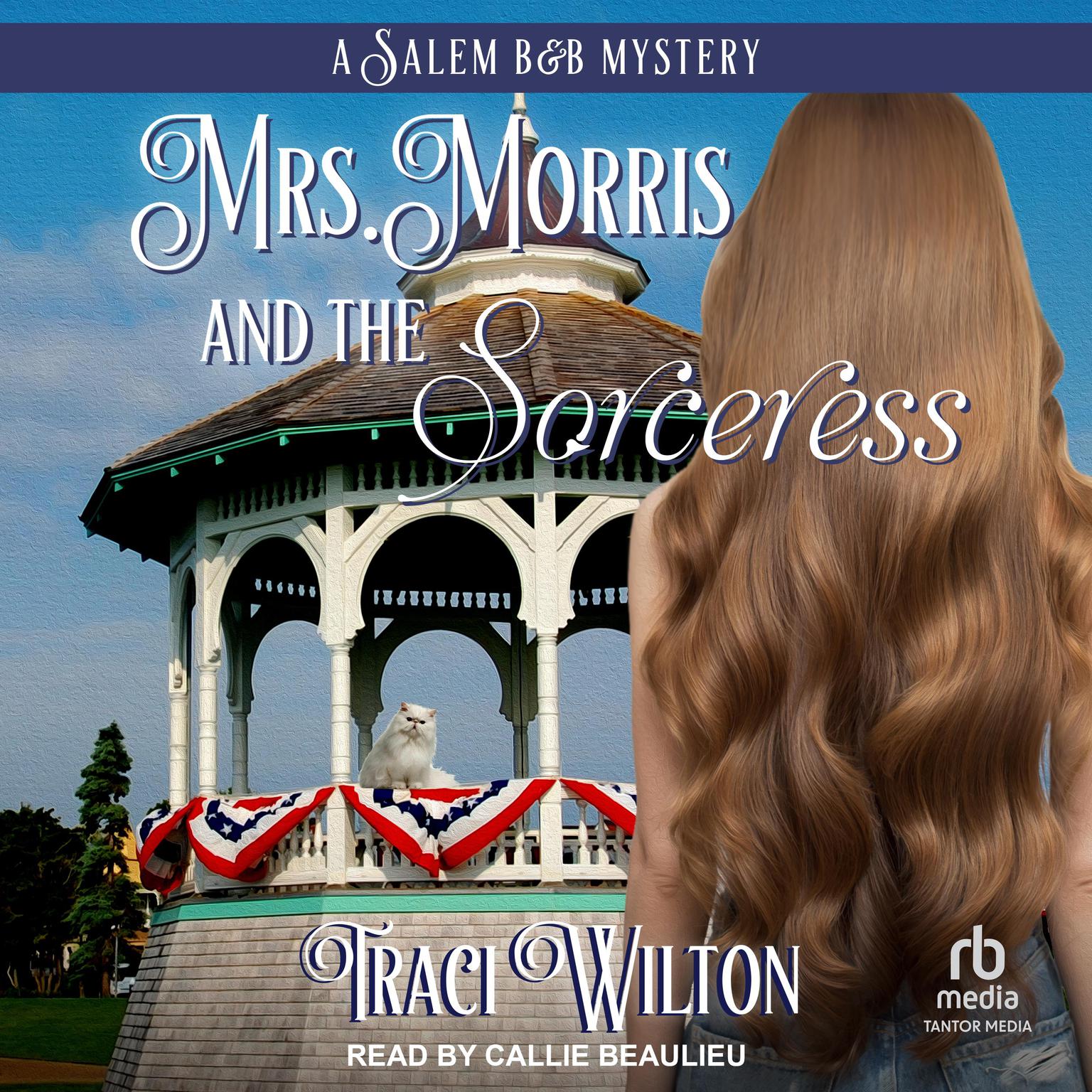 Mrs. Morris and the Sorceress Audiobook, by Traci Wilton