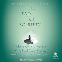 The Tao of Sobriety: Helping You to Recover from Alcohol and Drug Addiction Audiobook, by David Gregson