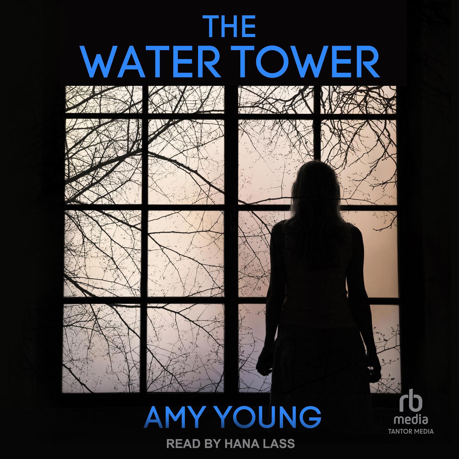 The Water Tower Audiobook, by Amy Young