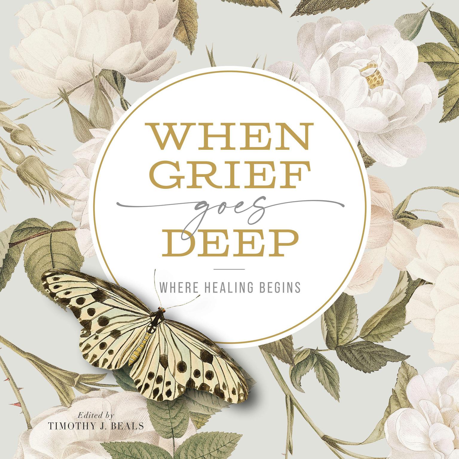 When Grief Goes Deep: Where Healing Begins Audiobook, by Timothy Beals