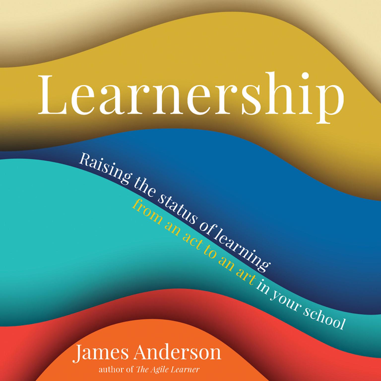 Learnership Audiobook, by James Anderson
