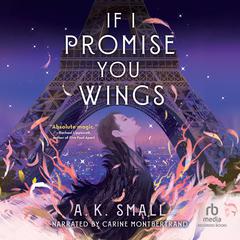 If I Promise You Wings Audiobook, by A. K. Small