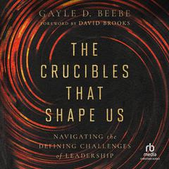 The Crucibles That Shape Us: Navigating the Defining Challenges of Leadership Audiobook, by Gayle D. Beebe